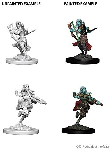 DND Nolzur's Marvelous Miniatures W4 Air Genasi Female Rogue