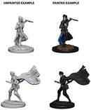 Pathfinder Deep Cuts Unpainted Miniatures W4 Elf Female Rogue