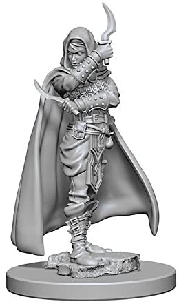 Pathfinder Deep Cuts Unpainted Miniatures W1 Human Female Rogue
