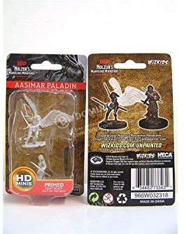 DND Nolzur's Marvelous Miniatures W5 Aasimar Male Paladin