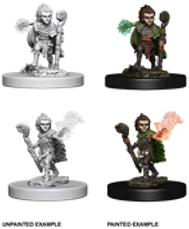 Pathfinder Deep Cuts Unpainted Miniatures W5 Gnome Male Druid