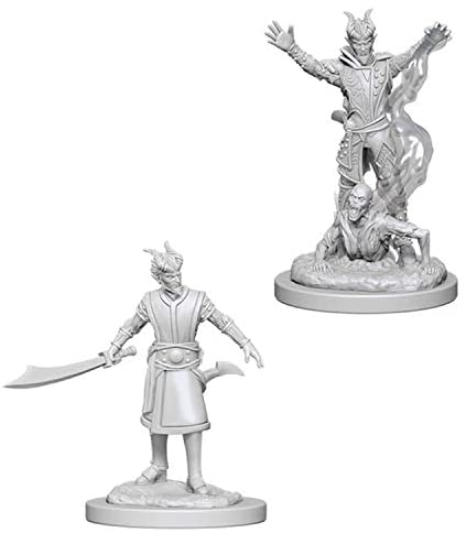 DND Nolzur's Marvelous Miniatures W6 Male Tiefling Warlock
