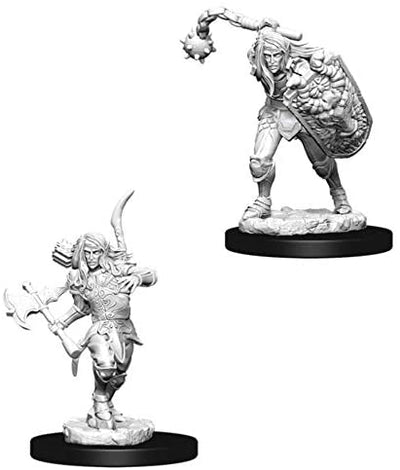Pathfinder Deep Cuts Unpainted Miniatures W6 Male Elf Fighter