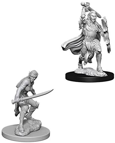 DND Nolzur's Marvelous Miniatures W6 Female Elf Fighter