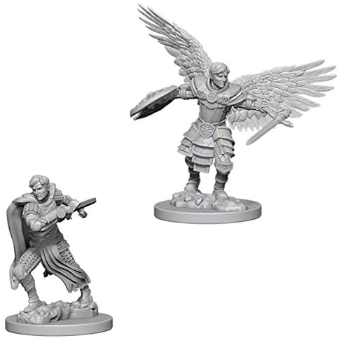 DND Nolzur's Marvelous Miniatures W6 Aasimar Male Fighter