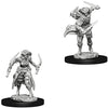 DND Nolzur's Marvelous Miniatures W7 Tiefling Female Rogue
