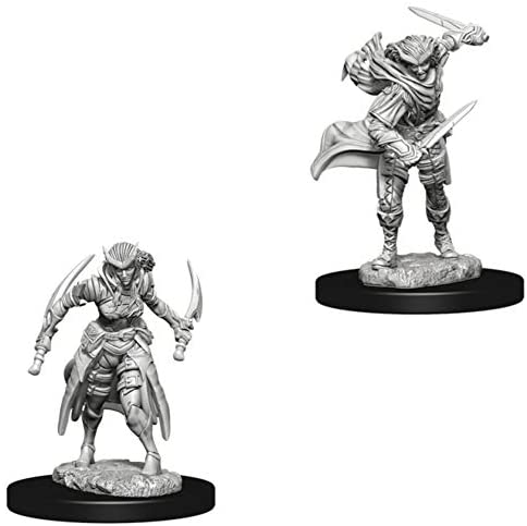 DND Nolzur's Marvelous Miniatures W7 Tiefling Female Rogue