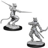 DND Nolzur's Marvelous Miniatures W7 Male Tabaxi Rogue