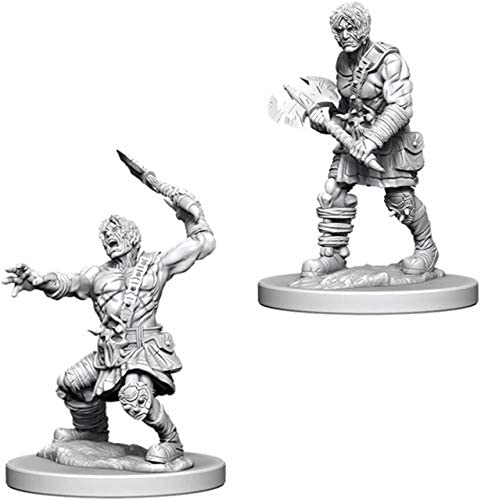 DND Nolzur's Marvelous Miniatures W6 Nameless One