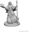 DND Nolzur's Marvelous Miniatures W1 Female Human Wizard