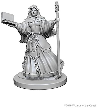 DND Nolzur's Marvelous Miniatures W1 Female Human Wizard