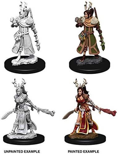 DND Nolzur's Marvelous Miniatures W9 Female Human Druid
