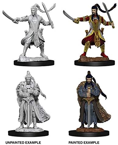 DND Nolzur's Marvelous Miniatures W9 Male Elf Paladin