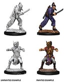DND Nolzur's Marvelous Miniatures W8 Human Monk Male