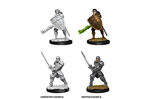 DND Nolzur's Marvelous Miniatures W8 Human Male Fighter