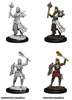DND Nolzur's Marvelous Miniatures W8 Human Female Cleric