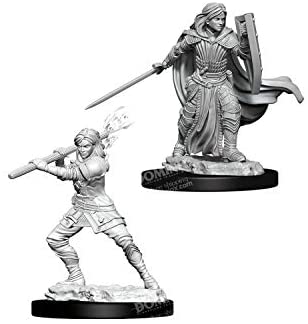 DND Nolzur's Marvelous Miniatures W10 Female Human Paladin