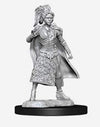 DND Nolzur's Marvelous Miniatures W10 Female Human Sorcerer