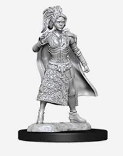 DND Nolzur's Marvelous Miniatures W10 Female Human Sorcerer