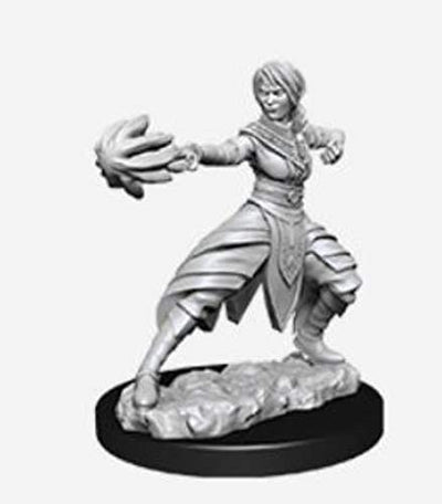 DND Nolzur's Marvelous Miniatures W10 Female Half-Elf Monk