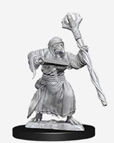 DND Nolzur's Marvelous Miniatures W10 Kenku Adventurers