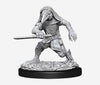 DND Nolzur's Marvelous Miniatures W10 Kenku Adventurers
