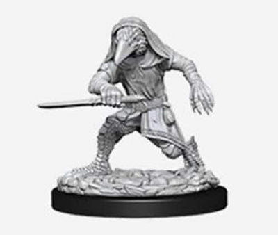 DND Nolzur's Marvelous Miniatures W10 Kenku Adventurers
