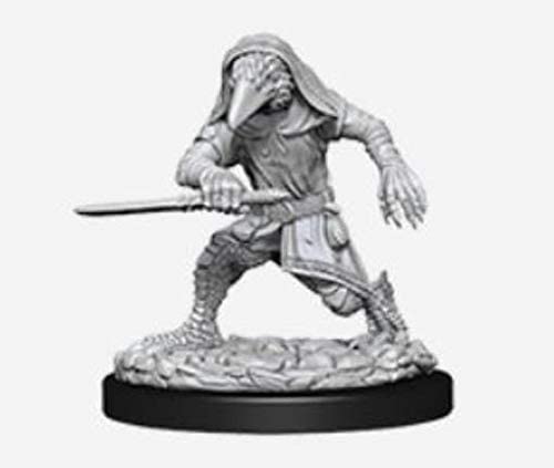 DND Nolzur's Marvelous Miniatures W10 Kenku Adventurers