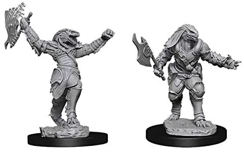 DND Nolzur's Marvelous Miniatures W11 Dragonborn Female Fighter