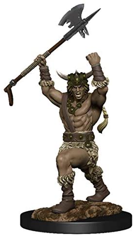 DND Nolzur's Marvelous Miniatures W11 Human Male Barbarian