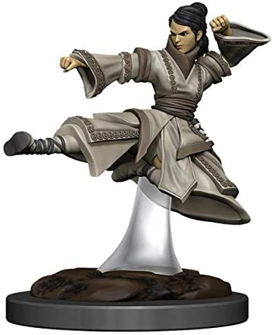 DND Nolzur's Marvelous Miniatures W11 Human Female Monk