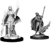 Pathfinder Deep Cuts Unpainted Miniatures W11 Human Female Oracle
