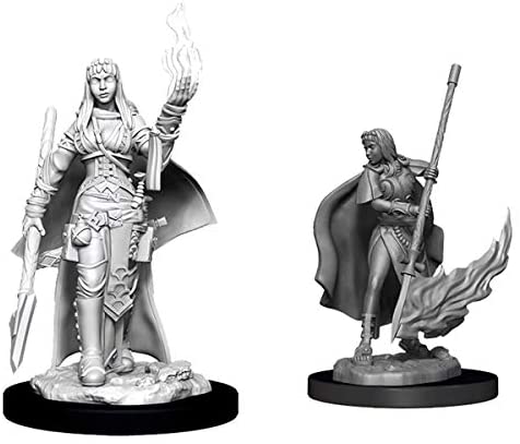 Pathfinder Deep Cuts Unpainted Miniatures W11 Human Female Oracle