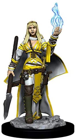 Pathfinder Deep Cuts Unpainted Miniatures W11 Human Female Oracle
