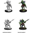 DND Nolzur's Marvelous Miniatures W12 Sahuagin