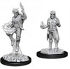 DND Nolzur's Marvelous Miniatures W12 Tiefling Male Sorcerer