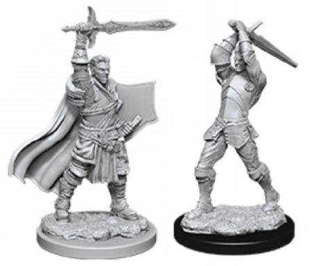 DND Nolzur's Marvelous Miniatures W12 Human Male Paladin