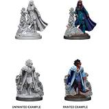 DND Nolzur's Marvelous Miniatures W12 Tiefling Female Sorcerer