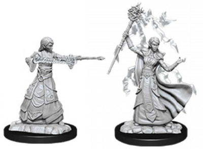 DND Nolzur's Marvelous Miniatures W12 Female Elf Wizard