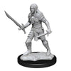 Pathfinder Deep Cuts Unpainted Miniatures W13 Male Elf Fighter