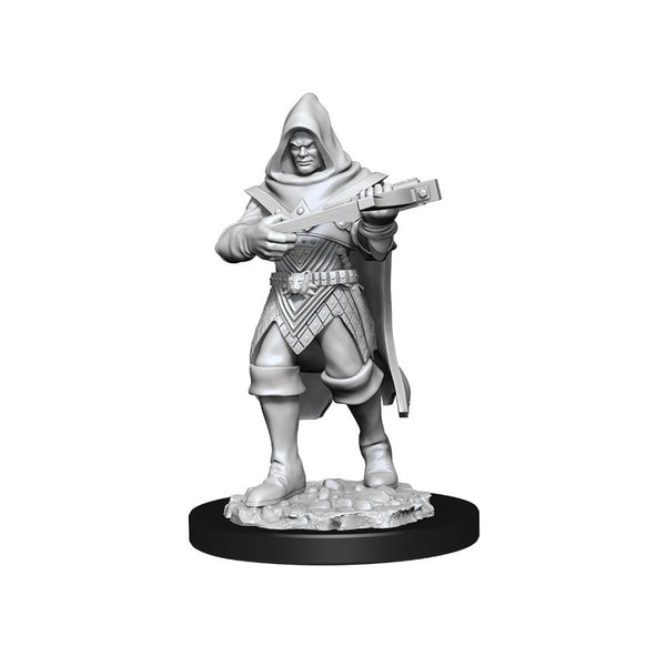 Pathfinder Deep Cuts Unpainted Miniatures W13 Male Human Rogue