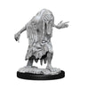 DND Nolzur's Marvelous Miniatures W13 Bodaks