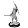 DND Nolzur's Marvelous Miniatures W13 Male Human Fighter