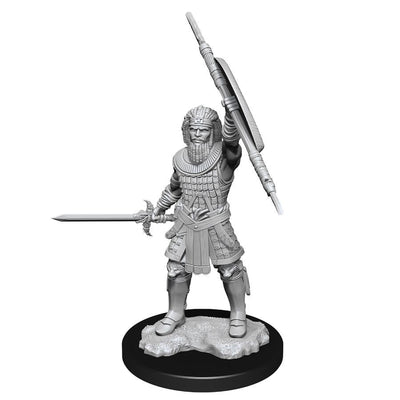 DND Nolzur's Marvelous Miniatures W13 Male Human Fighter