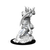 DND Nolzur's Marvelous Miniatures W13 Efreeti