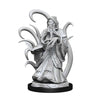 DND Nolzur's Marvelous Miniatures W13 Alhoon and Intellect Devourers