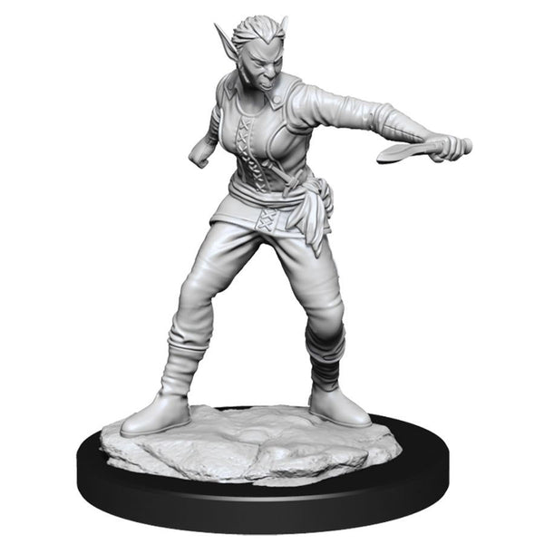 DND Nolzur's Marvelous Miniatures W13 Female Shifter Rogue
