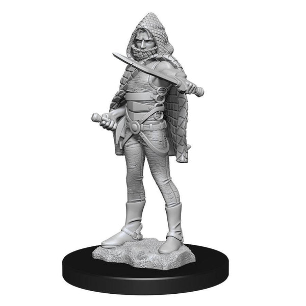 DND Nolzur's Marvelous Miniatures W13 Darkling Elder and Darklings