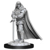 DND Nolzur's Marvelous Miniatures W13 Male Human Paladin