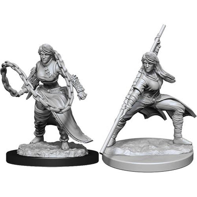 DND Nolzur's Marvelous Miniatures W14 Female Human Monk
